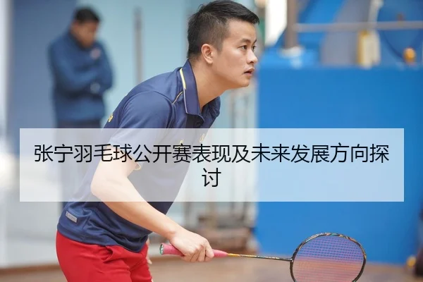 张宁羽毛球公开赛表现及未来发展方向探讨
